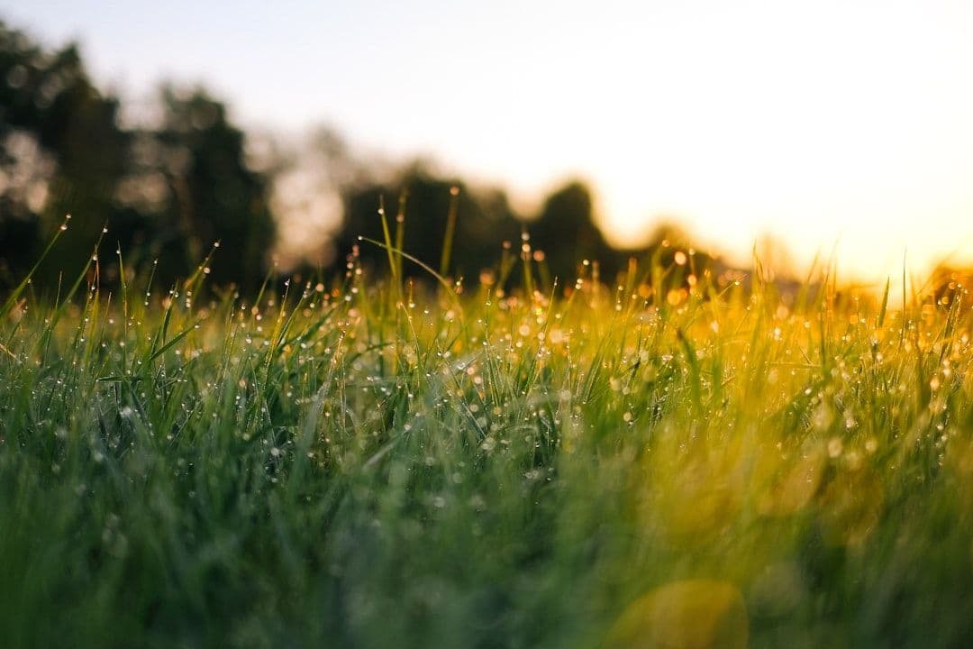 Akashic Records Reading: Accessing Your Soul's Information Archive — holistic health