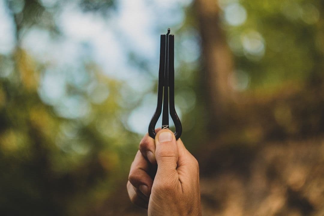 What Happens During a Tuning Fork Therapy Session: Your Complete Guide — holistic health