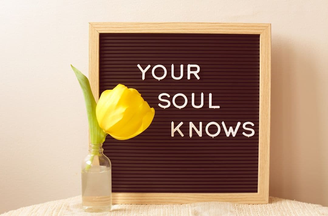 Soul Contract Healing: Releasing Pre-Incarnation Agreements Through Metaphysical Practice — holistic health