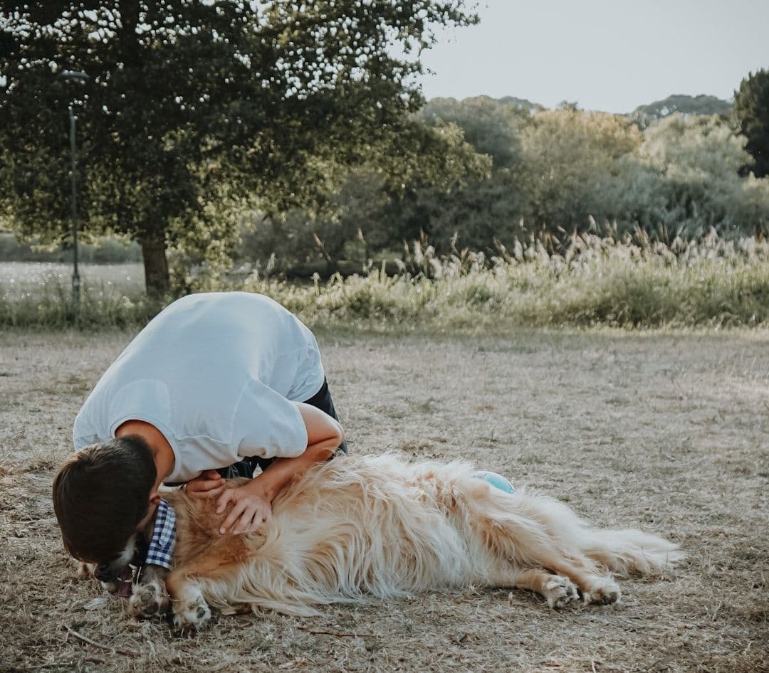 What Happens During an Animal Neuro Myofascial Release (ANMR) Session — holistic health