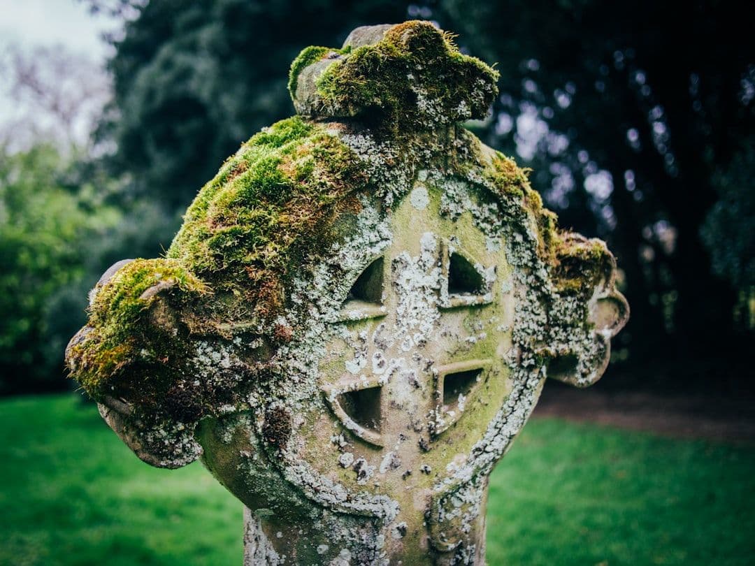 What Happens During a Celtic Spiritual Practice Session — holistic health
