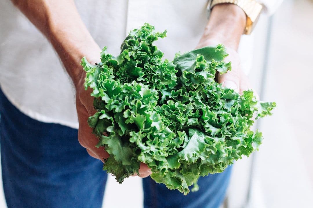 Low-FODMAP Diet Research: Strong Evidence for IBS Management — holistic health