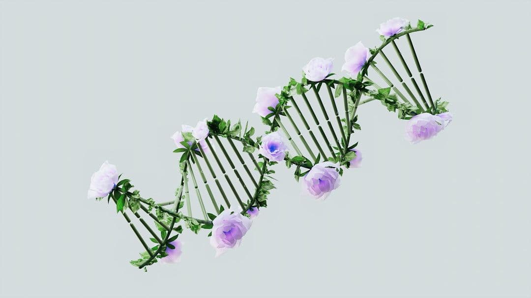 DNA Methylation and Repair: The Emerging Science of Genetic Optimisation — holistic health