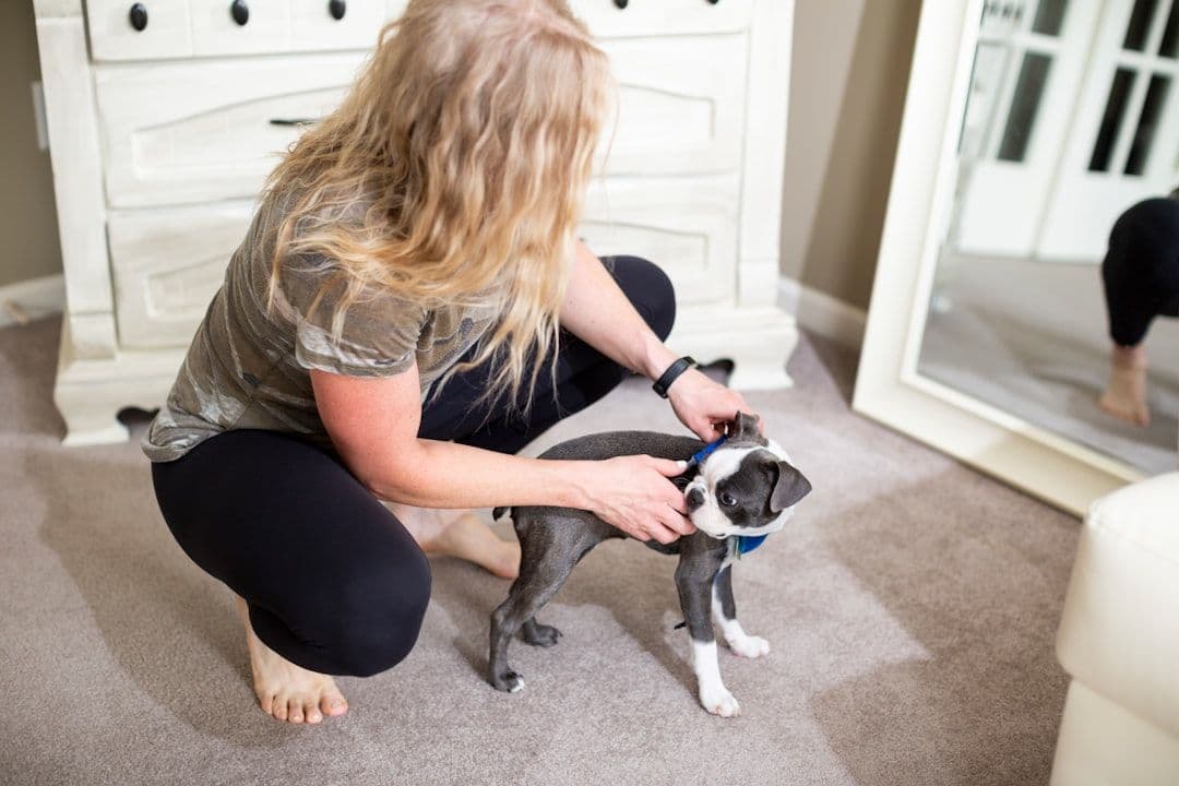 Animal Kinesiology Taping: Elastic Support for Movement and Recovery — holistic health