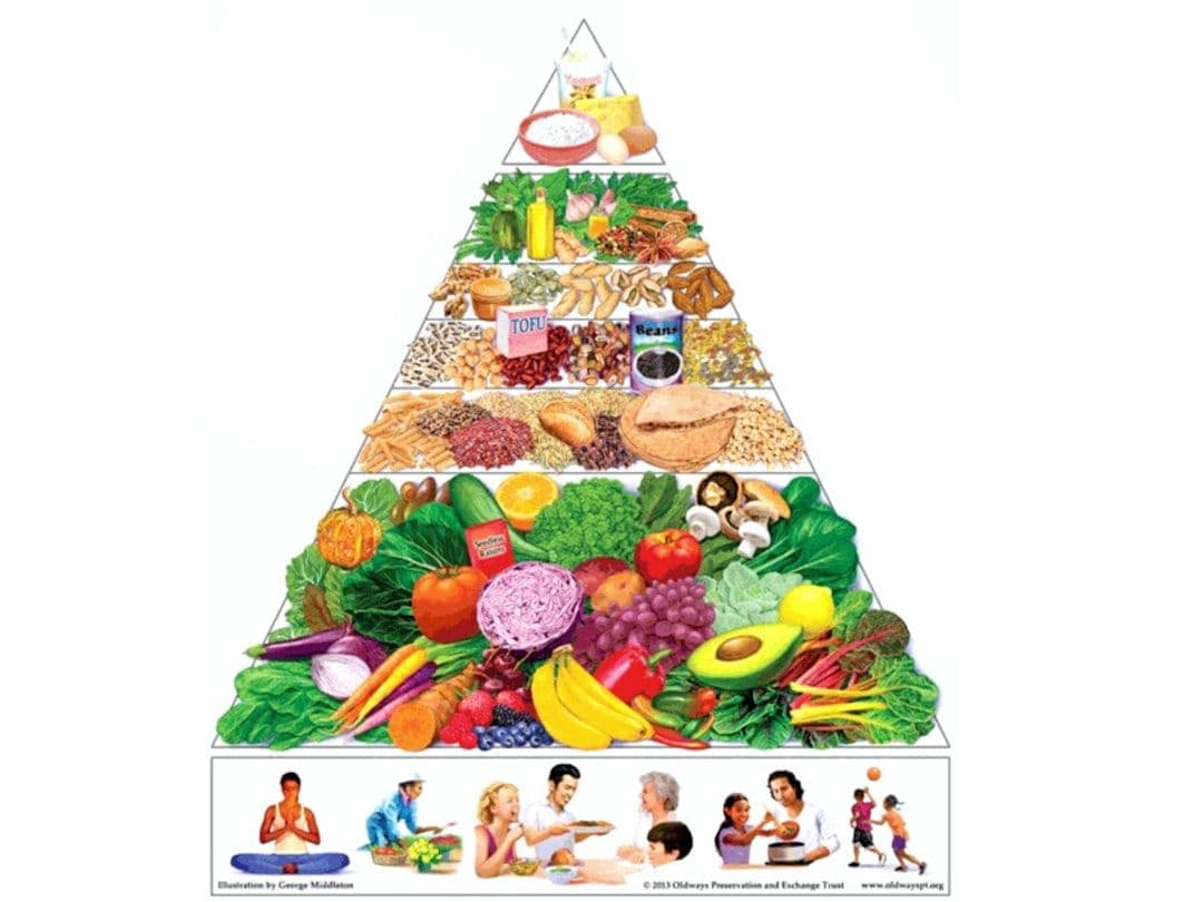 Your First Dietetics Session: What to Expect from Medical Nutrition Therapy — holistic health