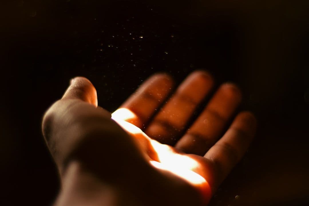The Art of Forgiveness: Structured Approaches to Releasing Resentment — holistic health