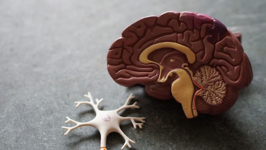 What Happens During a Cognitive Hypnotherapy Session — holistic health