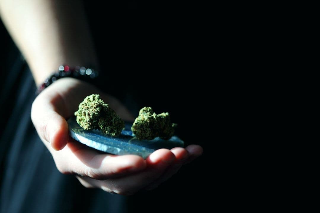 What Happens When You Start Taking CBD Supplements: A Session-by-Session Guide — holistic health