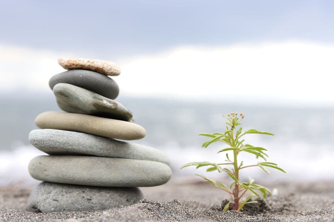 Personal Growth Coaching: What the Evidence Actually Shows — holistic health