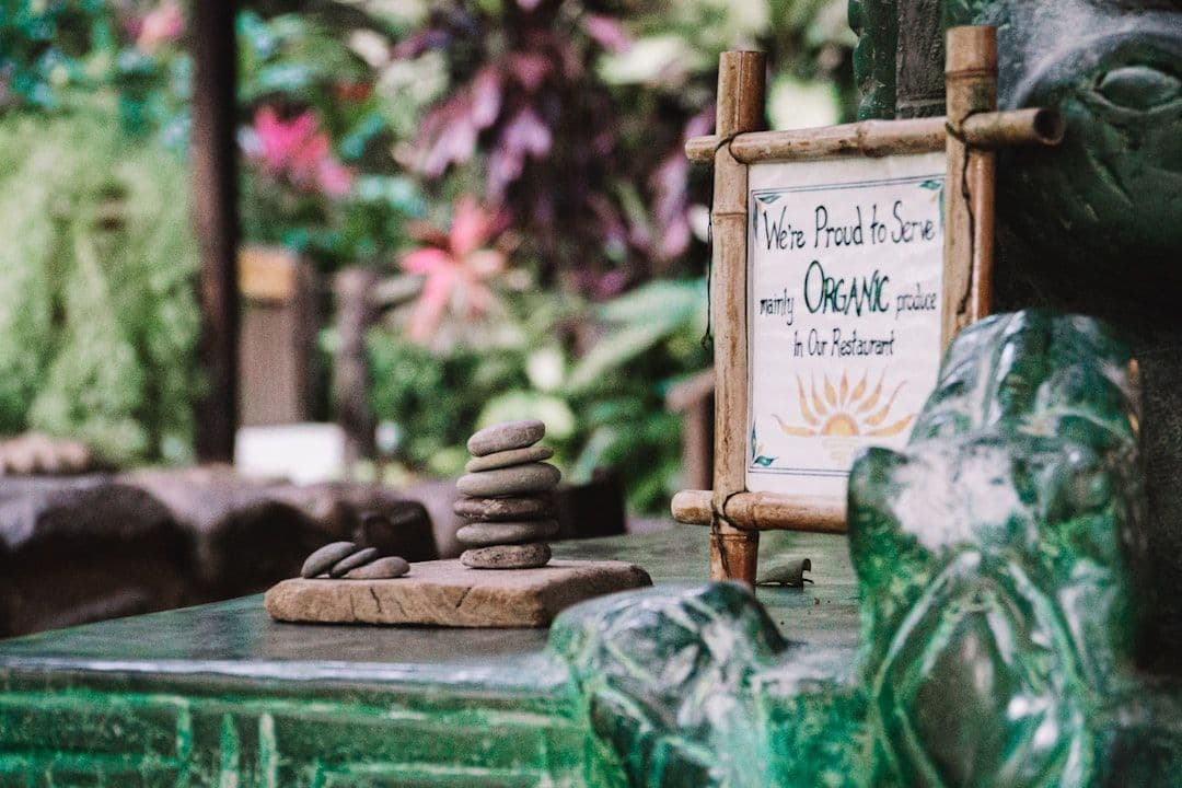 Create Abundance: What the Research Does and Doesn't Tell Us — holistic health