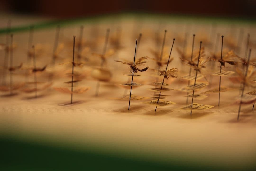 What Is Acupuncture? A Beginner’s Guide — holistic health